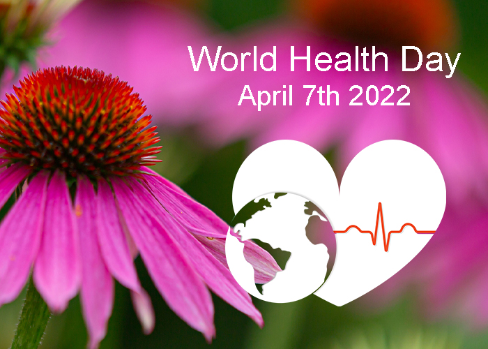 World Health Day 2022: <br/>Stress and what it does to the immune system