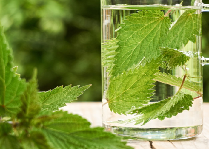 Can nettles support your period? 
