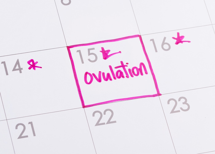3 surprising reasons why ovulation is so important