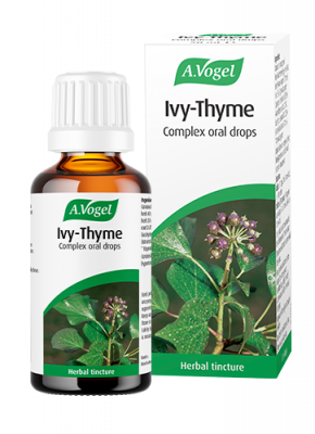 Ivy thyme