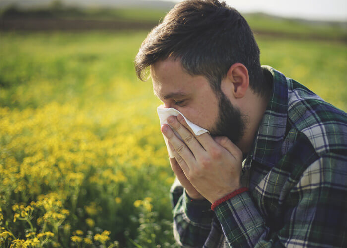 Keep hayfever in check with Pollinosan