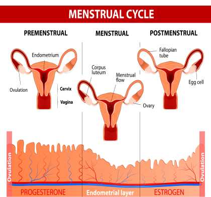 PMS cramps - What is normal?