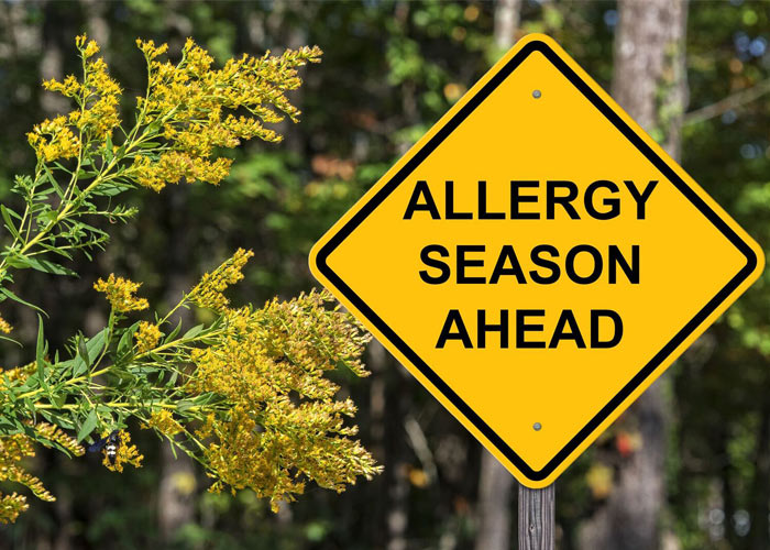 Wheezes and Sneezes - the Allergy Angle