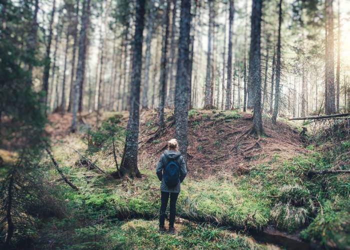 Forest bathing: how nature makes us happier