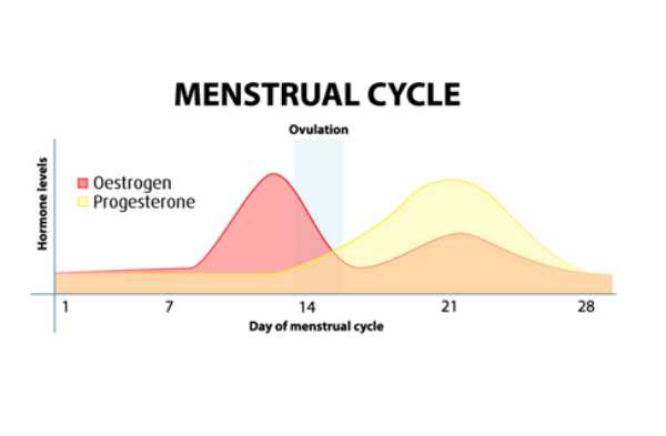 Understanding your period and hormone imbalance