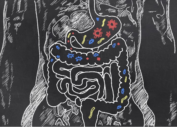 Synbiotics for IBS