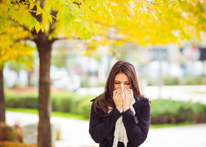 Our top tips for dealing with hayfever