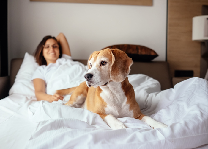 Should you be sleeping with your pets?