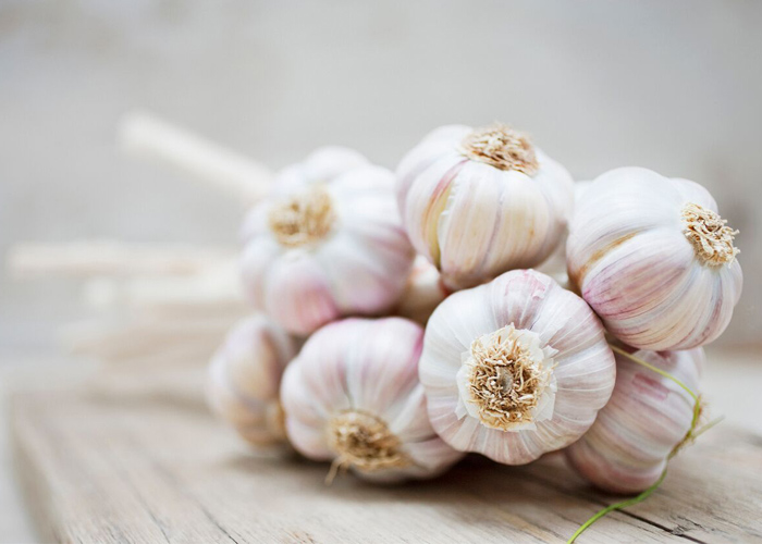 Can garlic help the immune system?