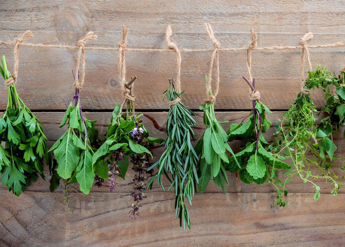 Herbs to ease a troublesome cough