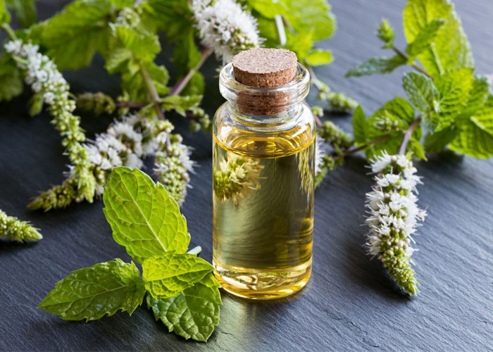 Does peppermint oil help IBS symptoms?