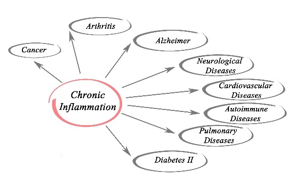 how-does-diet-affect-the-immune-function-keto-diet-blog