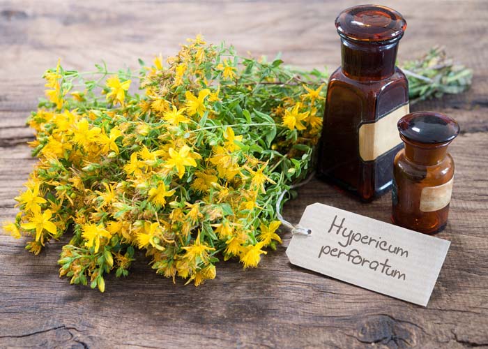 St John's Wort - the sunshine herb