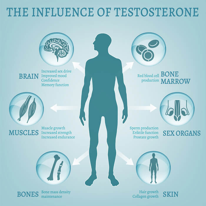 Can lack of testosterone make you tired