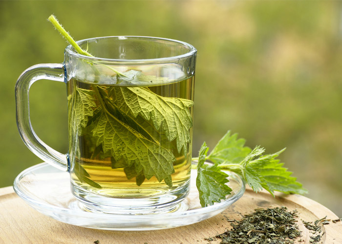 How can nettle help your allergies?