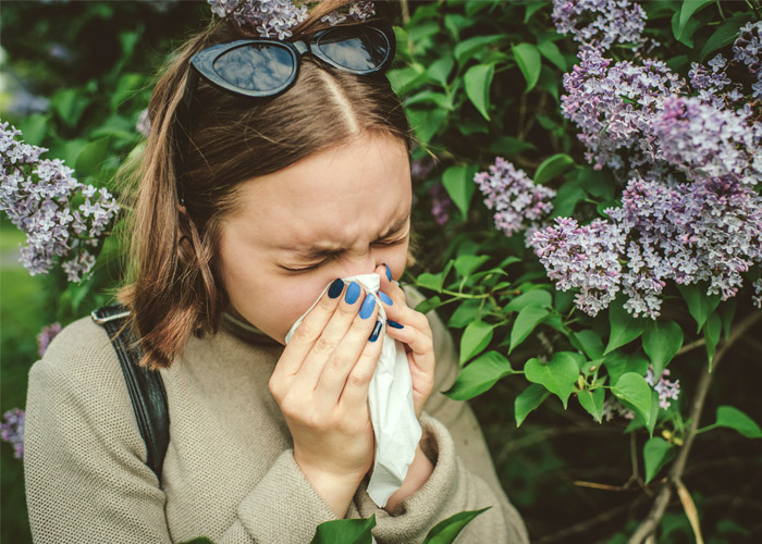 Dealing with severe hayfever symptoms