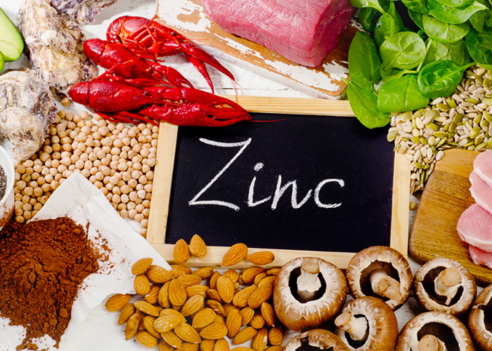 Is zinc good for the digestion?