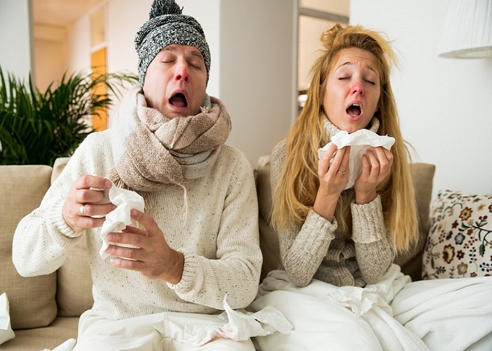 Can Echinacea stop a cold?