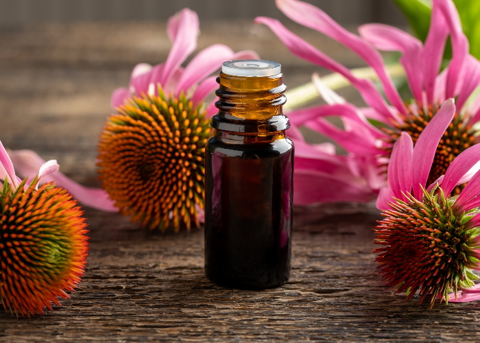 What are the benefits of echinacea?