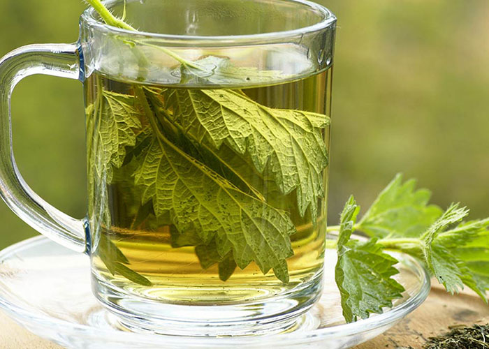 How to use nettle for hayfever