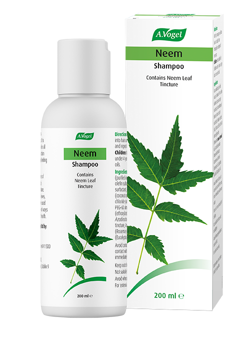 Shampoo from – everyday shampoo containing neem leaf tincture